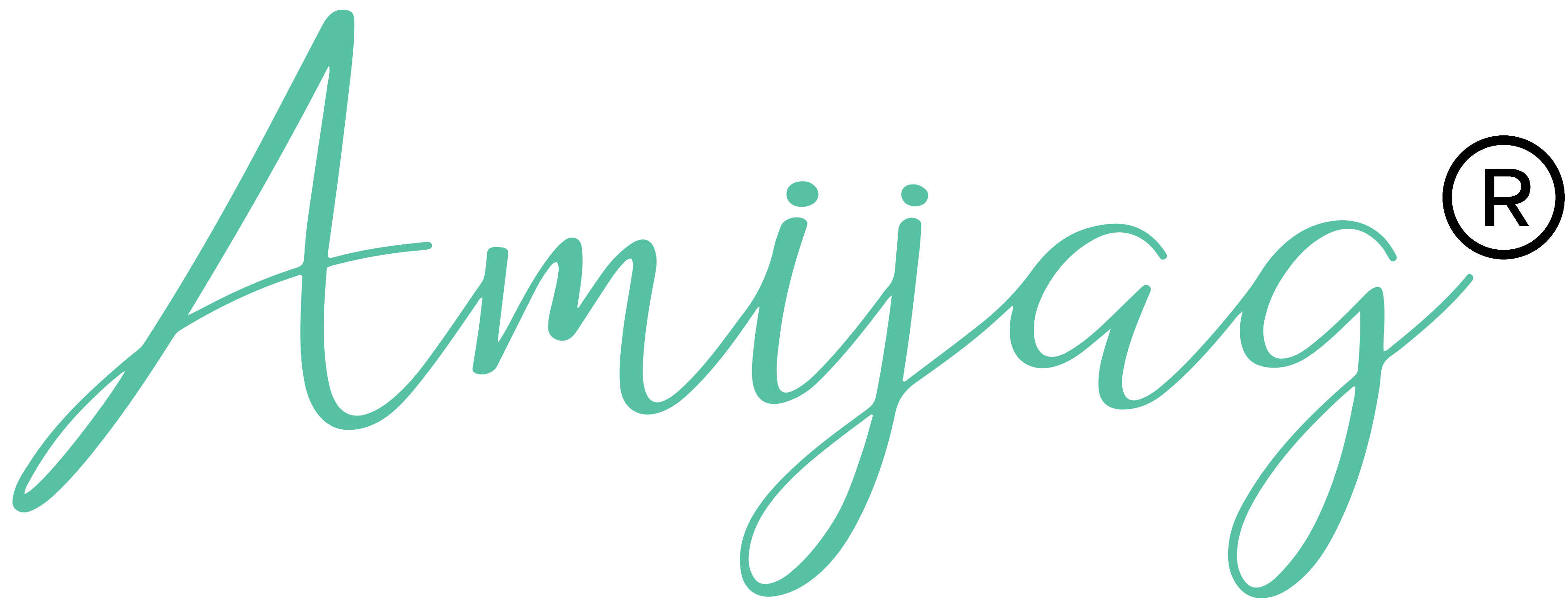 Amijag Inc